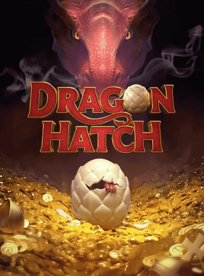 Cricket betting game cover